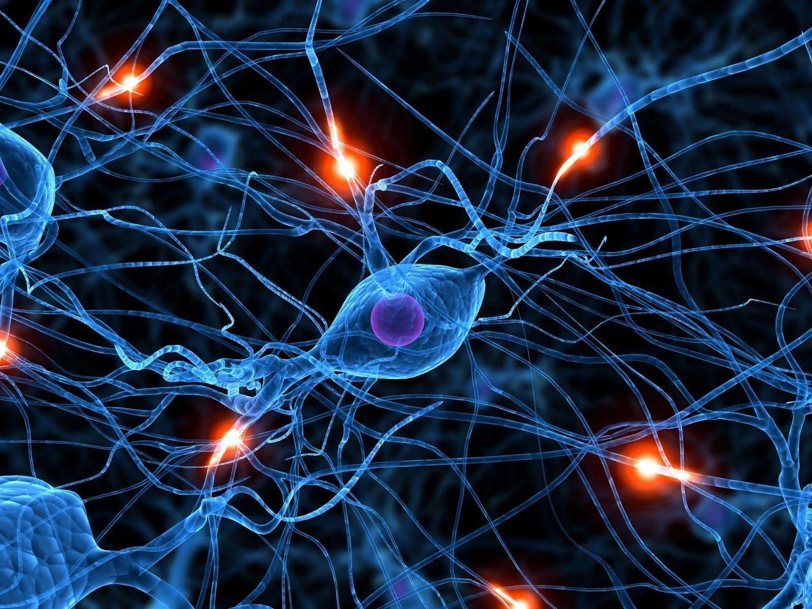 Illustration of neurons and neural connections